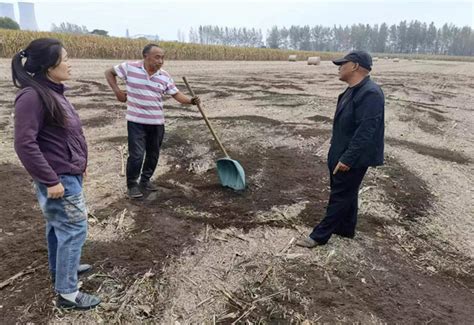 埇桥区桃园镇：技术指导进田间 秋耕秋种送“真经”宿州市埇桥区人民政府