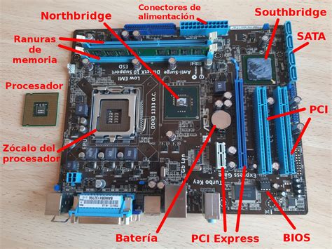 Comestible Semanal Etc Placa Madre Para Pc Pantalones Probabilidad