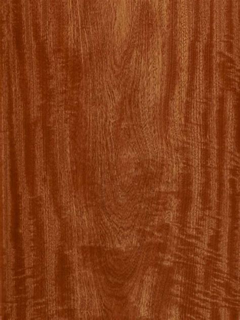 Timbers Asala Wood