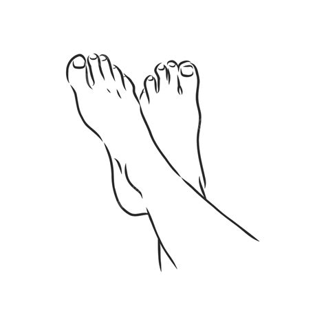 Vector Sketch Of A Barefoot Female Figureminimalistic Line Drawing Vector Background Healthy