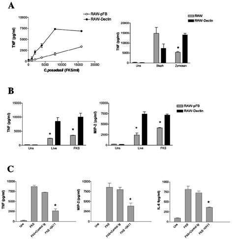 Role Of Dectin In Host Response To C Posadasii A Raw Cells