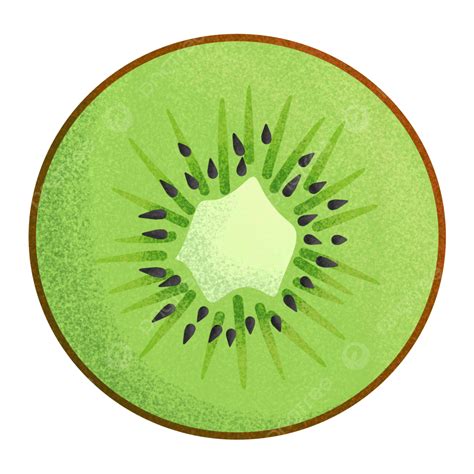 Kiwi Slice Png Picture Kiwi Fruit Sliced Kid Illustration Kiwi Fruit