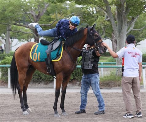 【新潟2歳s】ロードディフィート マイル歓迎 田中助手「かえって競馬がしやすい」 ライブドアニュース