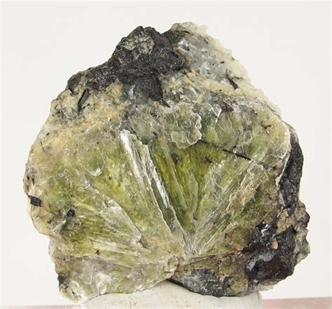 Columbite-Tantalite (rare) and Muscovite ex Vajdak Coll. | Etta Mine ...