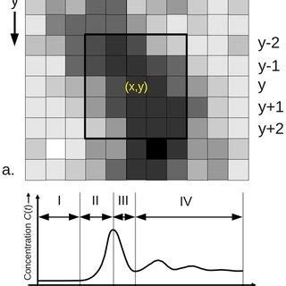 A Voxel Region Of An Mr Image To A Simple Moving Average Filter The