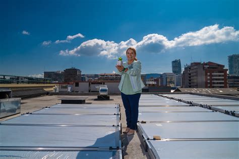 Caminando Hacia La Carbono Neutralidad Paneles Solares En El HVQ