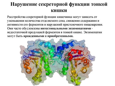 Нарушение секреторной и моторной функции тонкого кишечника - online ...