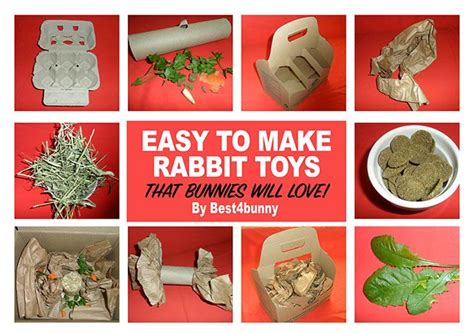 Easy To Make Rabbit Toys That Your Bunnies Will Love Diy Bunny Toys