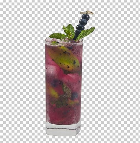 Cocktail Garnish Mojito Wine Cocktail Woo Woo Tinto De Verano Png