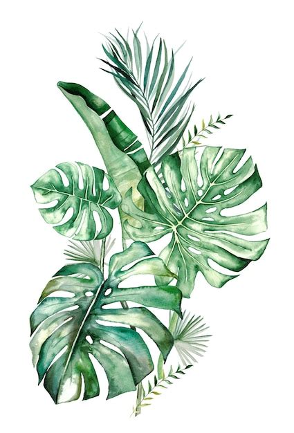 Bouquet De Feuilles Tropicales Aquarelle Photo Premium