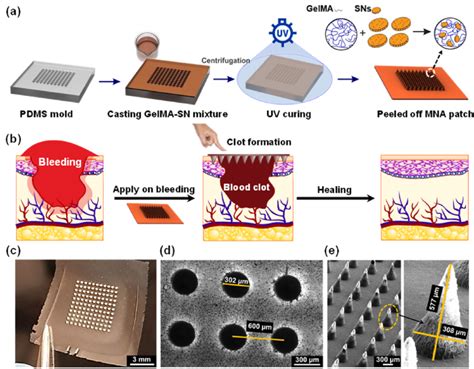 Fabrication Of Hemostatic Microneedle Arrays Mnas A Schematic Of