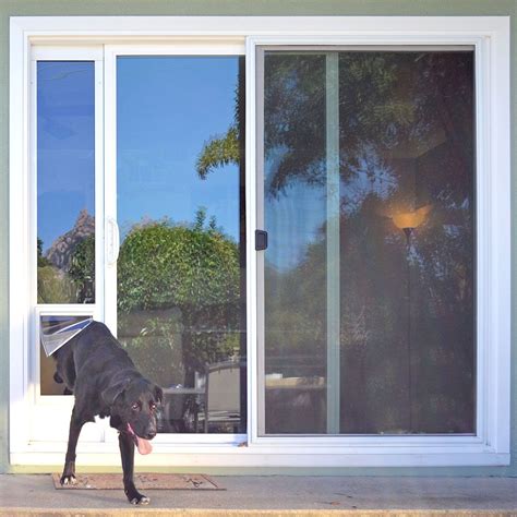 A Guide To Installing Pet Sliding Glass Door Inserts - Glass Door Ideas