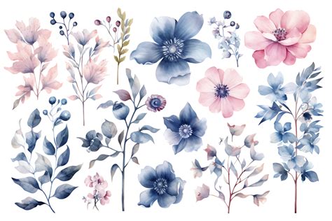 Beautiful Set Watercolor Flower And Leaves Element Collection 23842049 Png