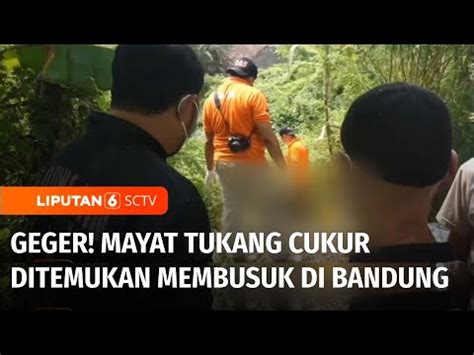 Geger Mayat Tukang Cukur Ditemukan Membusuk Di Kebun Pisang Di