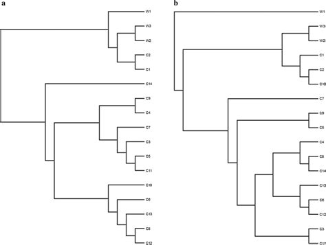 Phylogenetic Trees—otus Approach Phylogenetic Trees Comparing The Otus