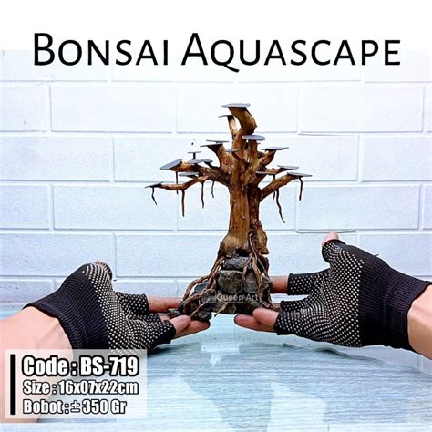 Jual Bonsai Aquascape Akar Senggani Hiasan Aquarium 5 Shopee