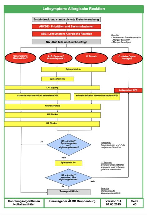 Leitsymptom Allergische Reaktion Diagram Quizlet