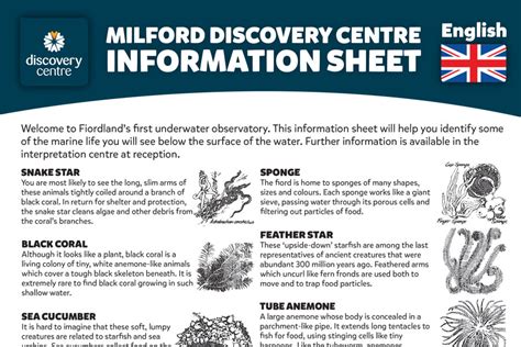 Milford Sound Underwater Observatory and Discovery Centre Info Sheet English - Southern Discoveries