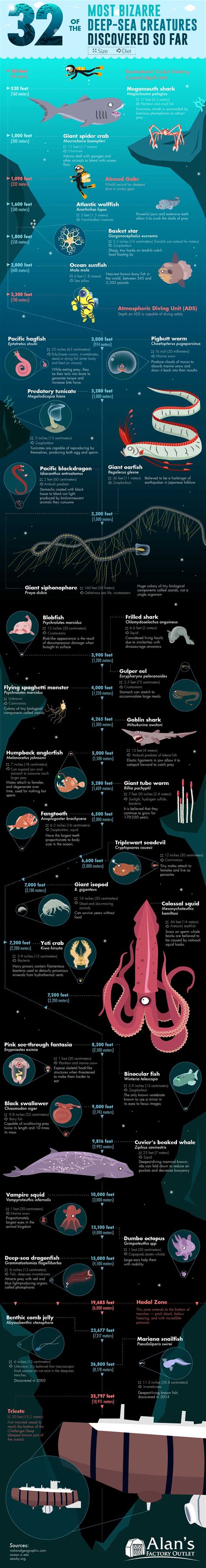 32 of the Most Bizarre Deep-Sea Creatures Discovered [Infographic]