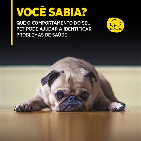 Você sabia que o comportamento do seu pet pode ajudar a identificar