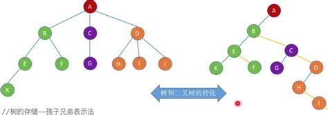 知识分享 数据结构 树 网信实验室acm网信社