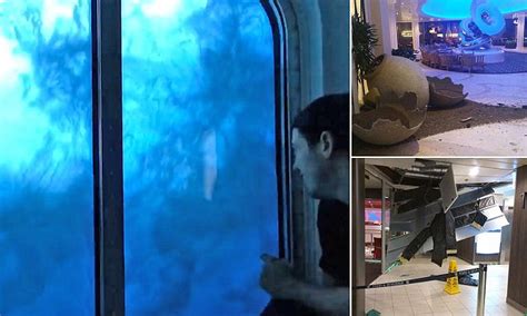 Footage Inside Royal Caribbean Cruise Ship During Storm Daily Mail Online