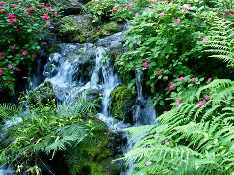 Водопади и водни каскади - снимки от Флорида - тапети за десктоп
