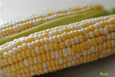 My Passion About Japan Hokkaido Corn