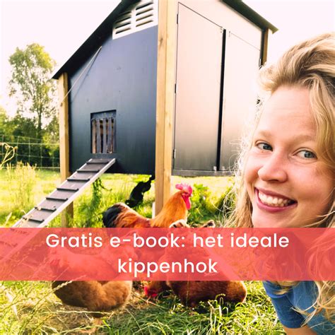 Alles Over Kippen De Kippenclub