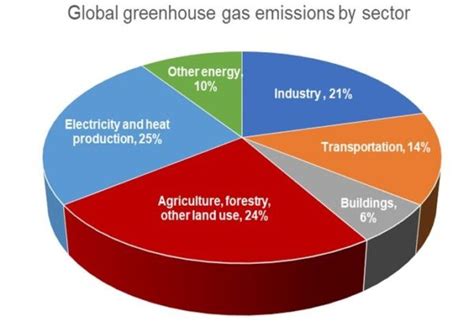 Can Carbon Farming Be The Game Changer For Africas Smallholder