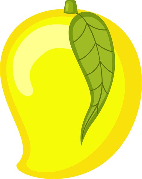 Simple Mango Leaf Illustration Juicy Mango Clipart Png Myfreedrawings