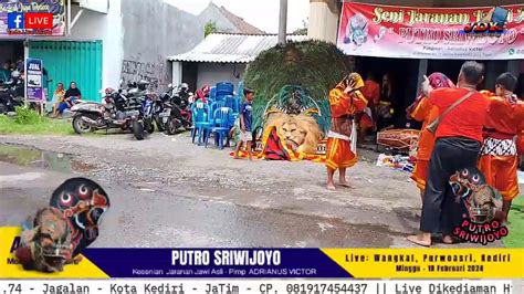 Putro Sriwijoyo Seni Jaranan Jawi Asli Live Rmh Hj Lilik