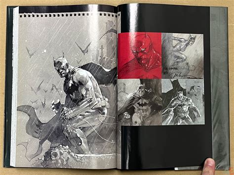 Descubrir 68 Imagen Batman Hush Complete Edition Abzlocal Mx