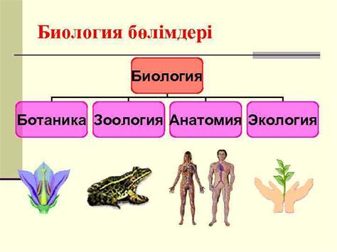 Биология ғылымы Дайындаған Қаратөбе мектеп гимназиясының биология пәнінің