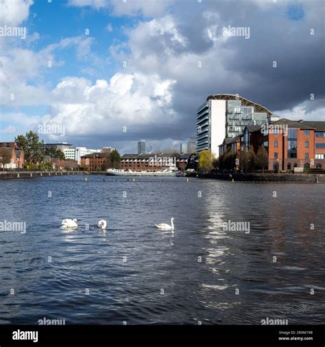 Reflections Of Contemporary Buildings Salford Quays Manchester Uk