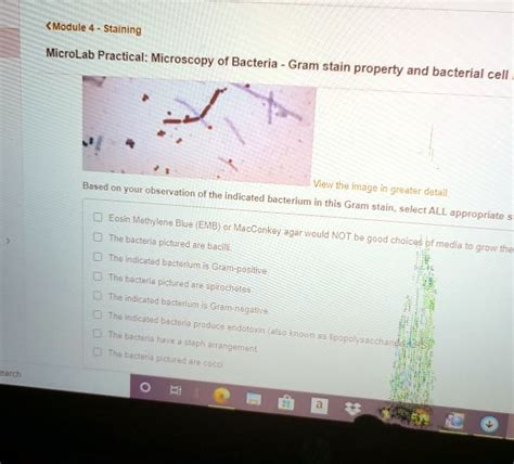 Module Staining MicroLab Practical Microscopy Of Bacteria Gram Stain