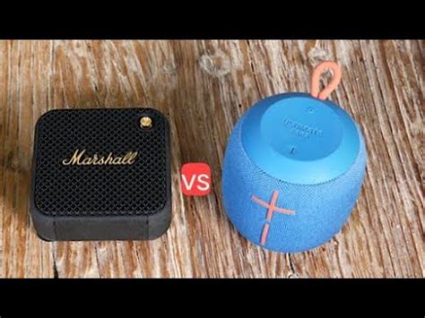 Marshall Willen Vs Wonderboom Ll Difference And Review Ll Ojasvi Sharma