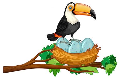 Free Vector | Toucan sitting on nest of eggs