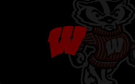 Wisconsin Badgers Wallpapers - Top Free Wisconsin Badgers Backgrounds - WallpaperAccess