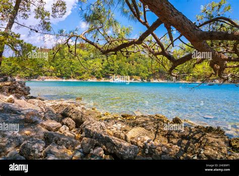 Phaselis Antalya. Sea and seashore with tree branches view in Phaselis ...