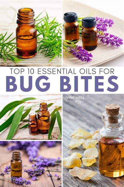 10 Best Essential Oils For Mosquito Bites With A Roller Blend Recipe