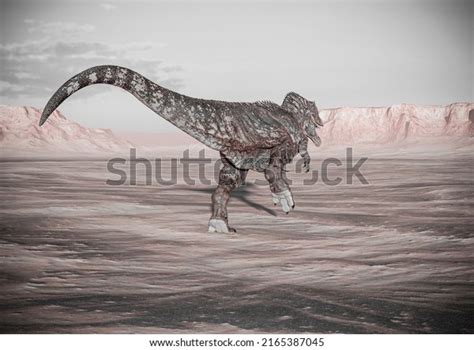 Giganotosaurus Running On Sunset Desert Rear Stock Illustration 2165387045 Shutterstock