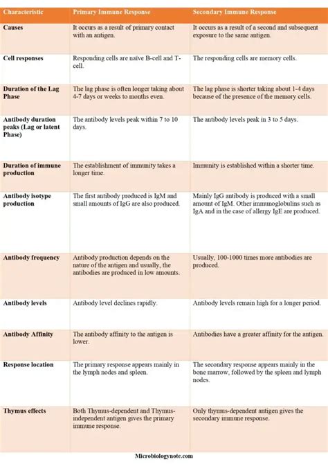 Primary And Secondary Immune Response Biology Notes Online