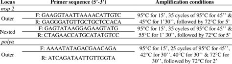 Primers sequences and amplification conditions. | Download Scientific ... 
