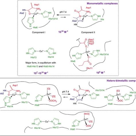 Proposed Coordination Modes Of Cu II 10 Cu I 10 Zn II 34 And The