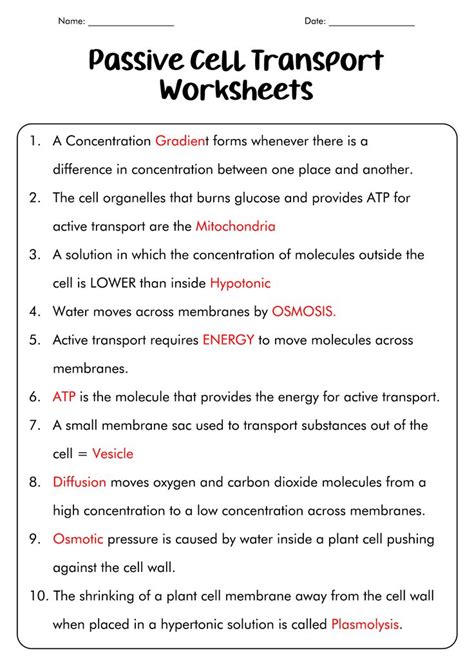 16 Diffusion Osmosis Active Transport Worksheet Passive Transport Cell Transport Osmosis