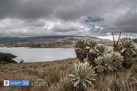 Refugios climáticos Nariño en todo su esplendor Señal Colombia