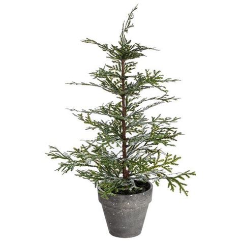 Potted Cedar Tree 2399 Birchlane 175h X 12w X 12d Cedar Trees
