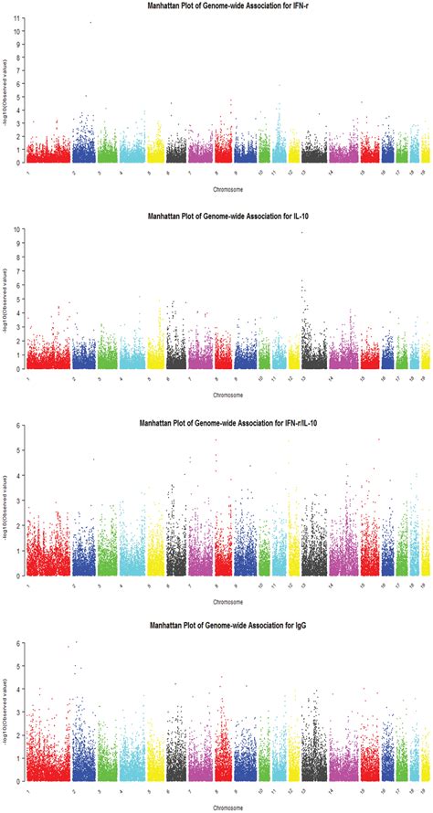 Manhattan Plots Of The P Values Of All Tested Snps In Terms Of Download Scientific Diagram