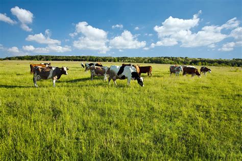 El Ministerio De Agricultura Introduce Cambios En Las Subvenciones A